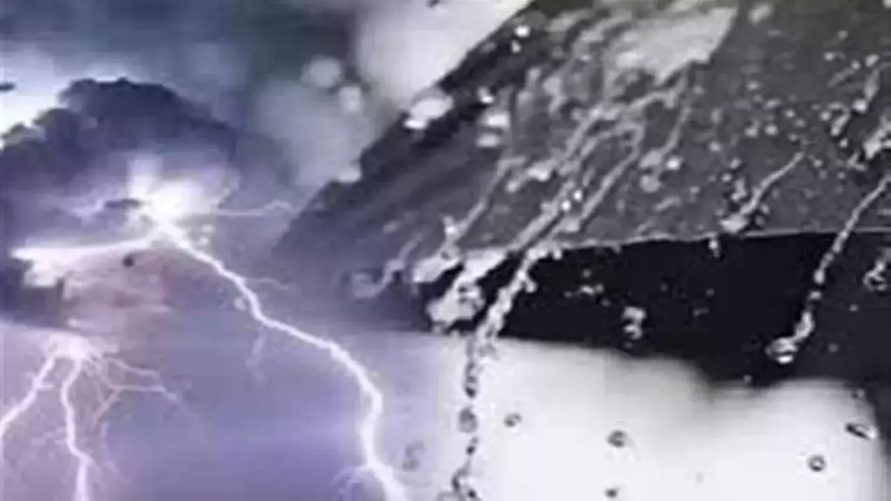 تحذير لزارعي مصر من صقيع مدمر وسط ارتفاع درجات الحرارة بمقدار 4 درجات